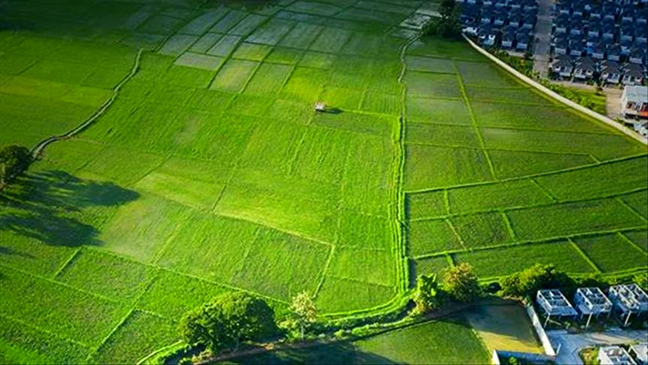 Bursa'da 25 milyonluk borca battı, malları icralık oldu!   