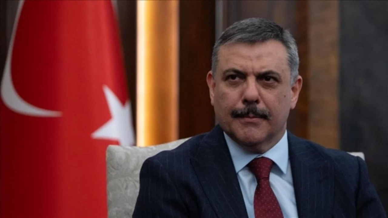 Bakan &Ccedil;ift&ccedil;i duyurdu! Toplanan sahipsiz sokak hayvanlarının oranı belli oldu...