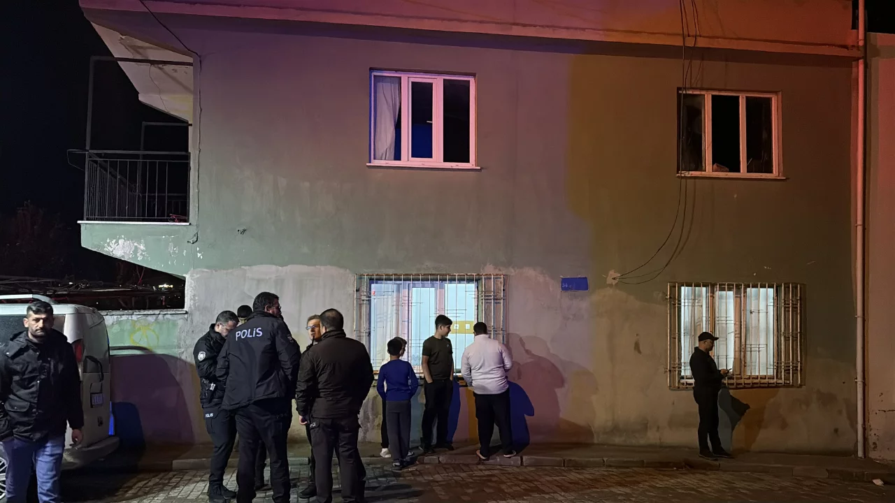 Aydın'daki ev yangınında 2 kardeş dumandan etkilendi
