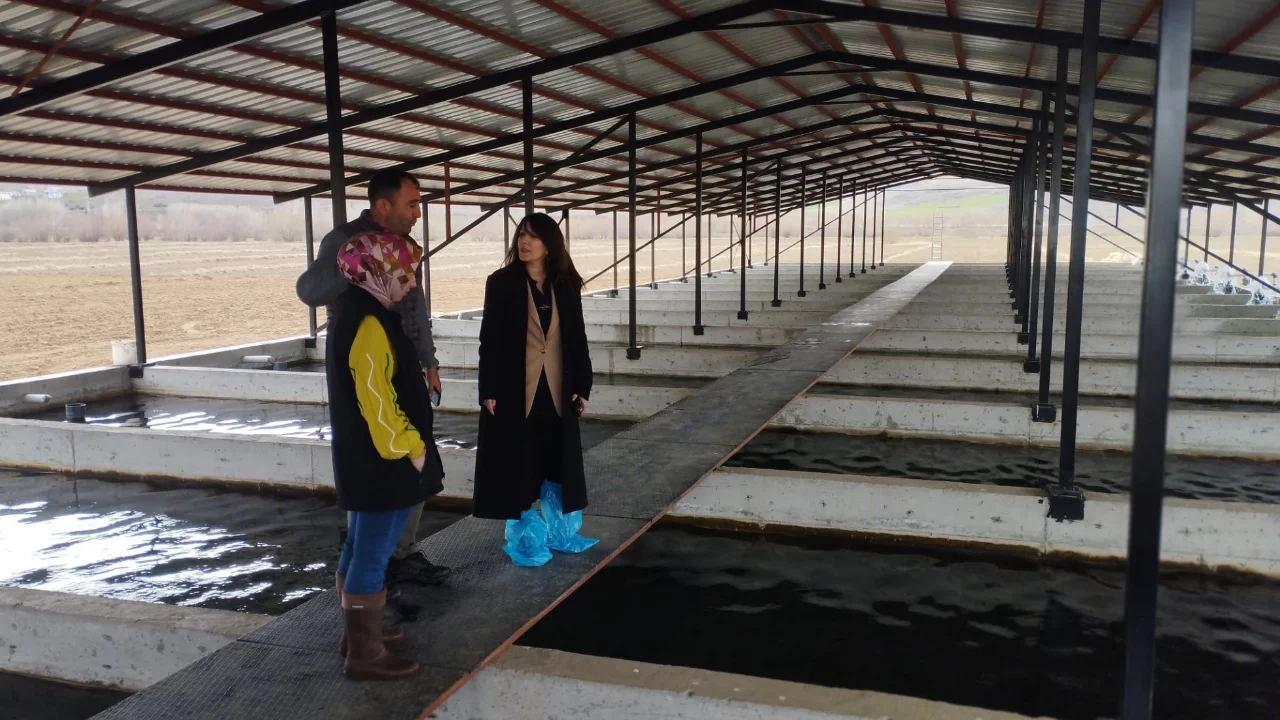 Tercan'da alabalık &uuml;retim tesisine denetim