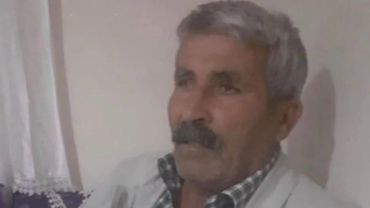 Kovalamaca sonucu yola &ccedil;ıkan inek, sahibini canından etti