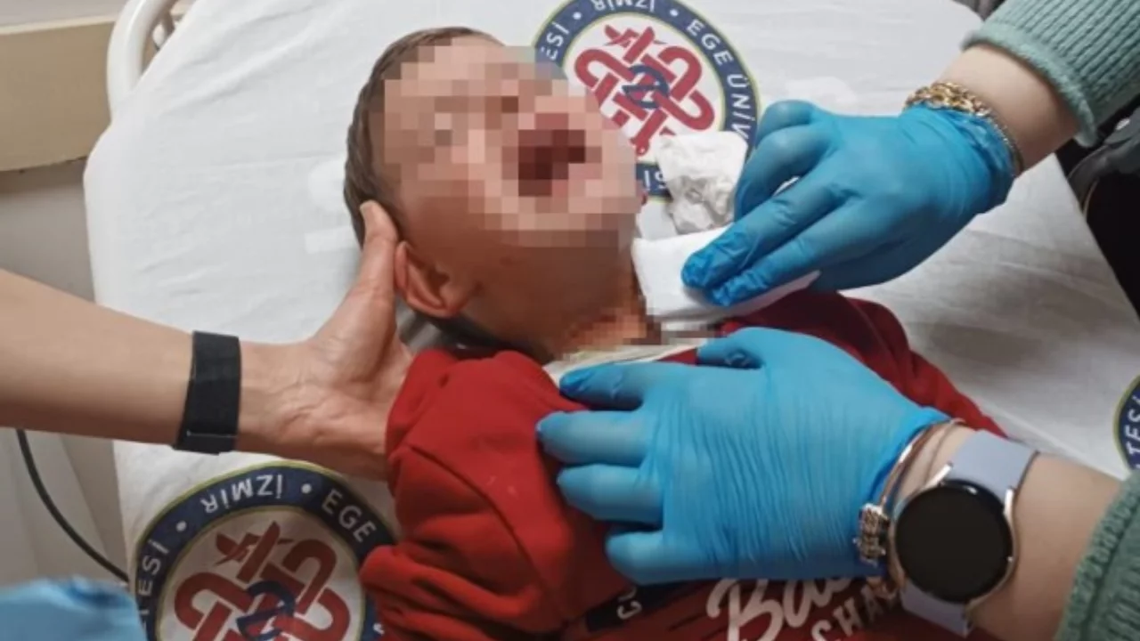 Parkta kan donduran anlar! Cani, 2 yaşındaki bebeği hedef aldı