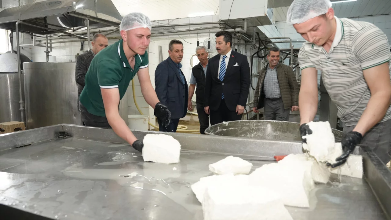 Yenişehir'in markası Türkiye'ye lezzet taşıyor