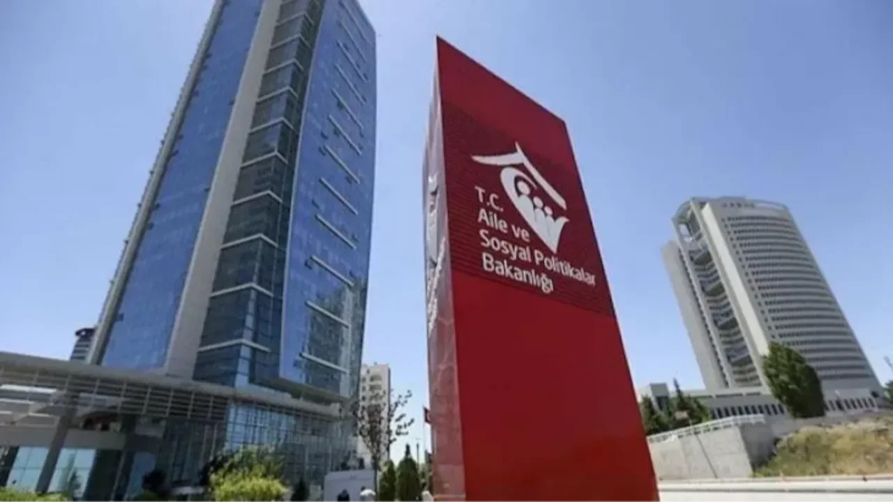 Anne ve &ccedil;ocuğu darbedilmişti! Bakanlık devreye girdi