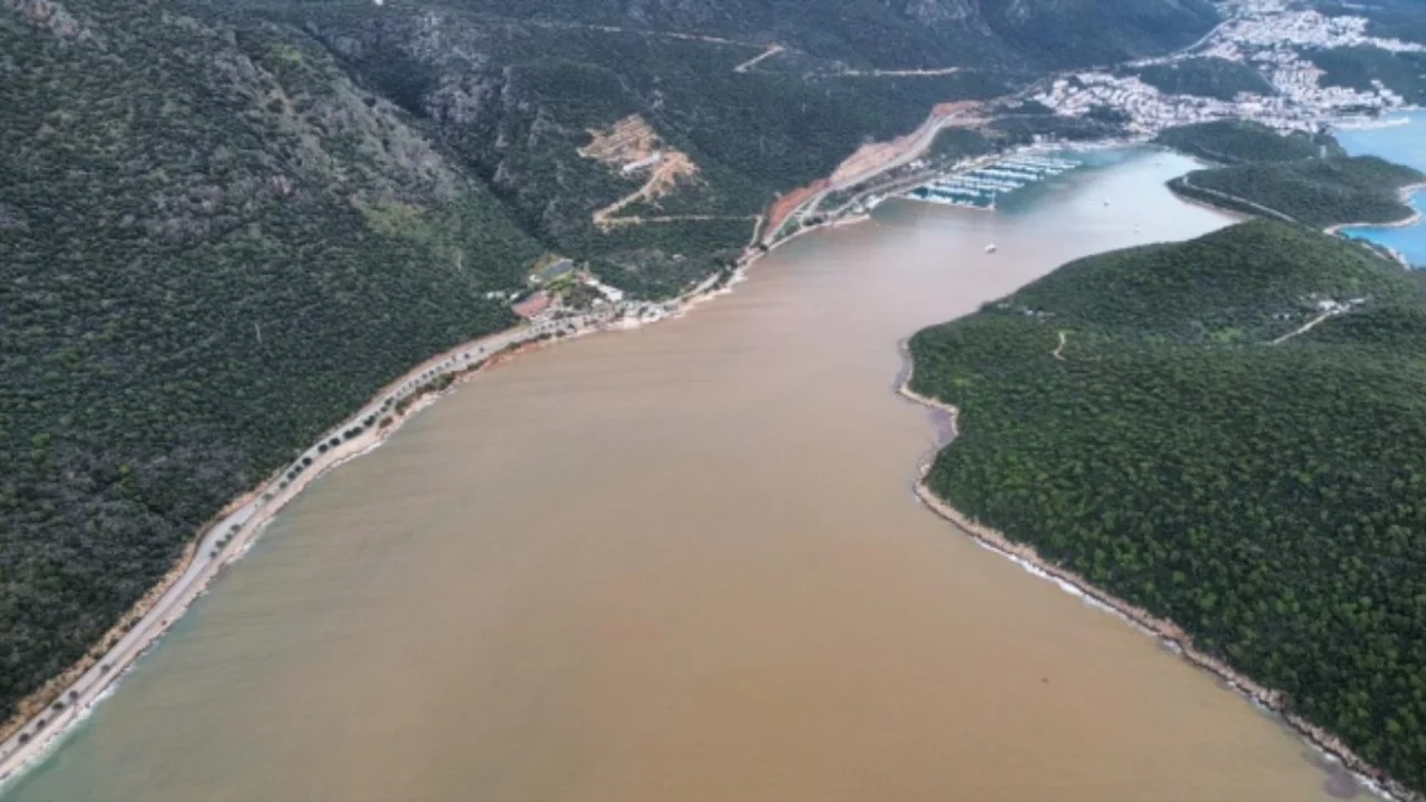 G&ouml;r&uuml;nt&uuml; Amazonlar'dan değil! T&uuml;rkiye'de şaşkınlık yaratan manzara