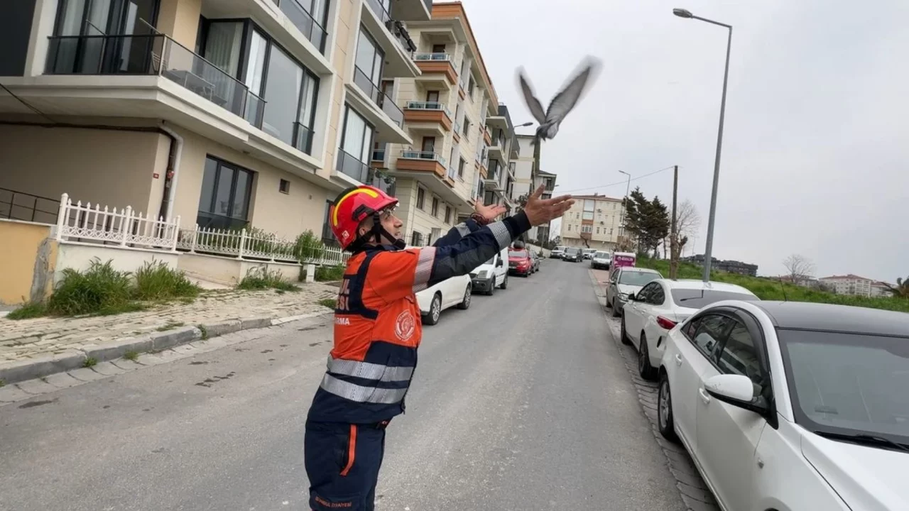 Avcılar'da havalandırma boşluğuna d&uuml;şen g&uuml;vercin ve martıyı itfaiye kurtardı