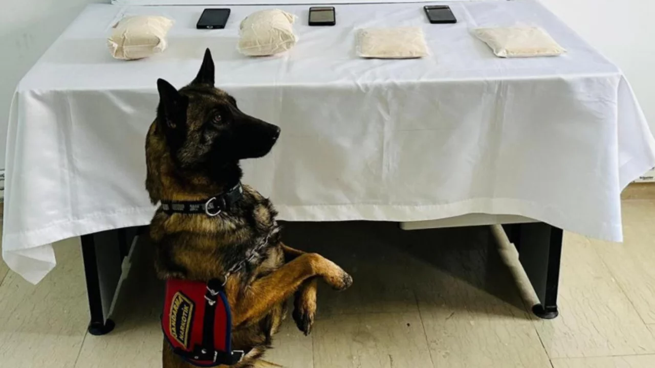 Batman'da 3 kilo kannabinoit ele ge&ccedil;irildi: 1 kişi tutuklandı