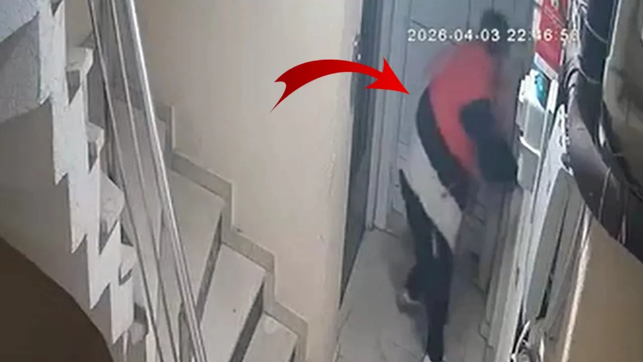 Hırsızlık yapamayınca binaya tuvaletini yaptı!