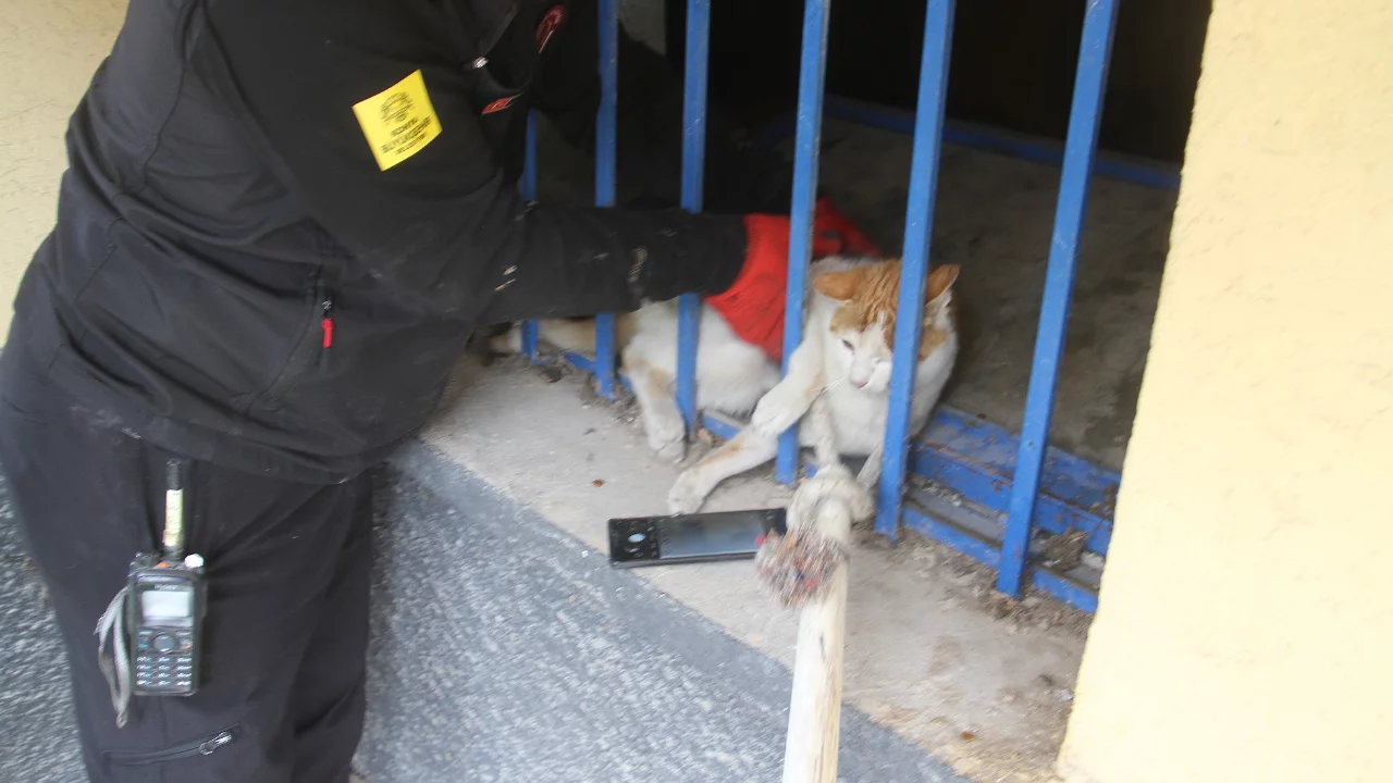 A&ccedil;lıktan bitkin d&uuml;şen kedi itfaiye ekiplerince kurtarıldı