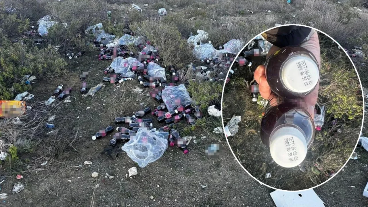 Hepsinin tarihi ge&ccedil;miş! Y&uuml;zlercesini ormanlık alana attılar