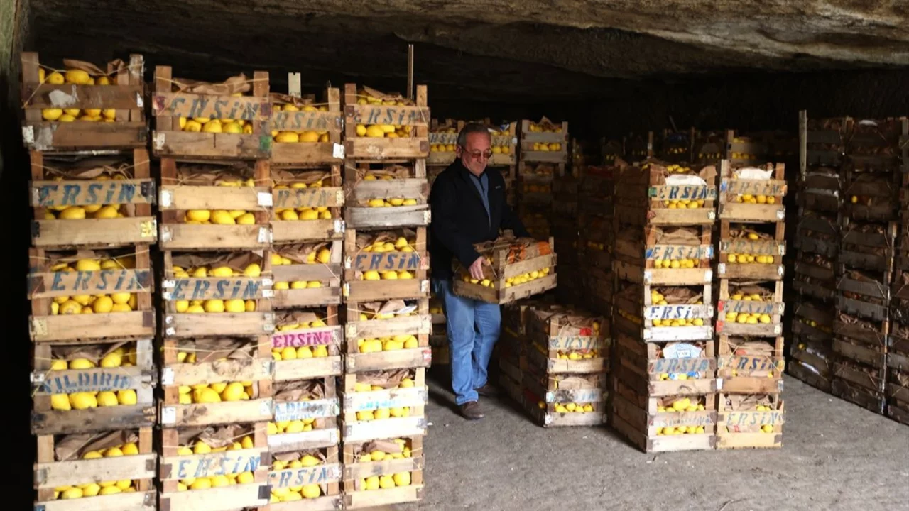 Kapadokya'daki mağaralar "yatak limon"a kıvam ve aroma kazandırıyor