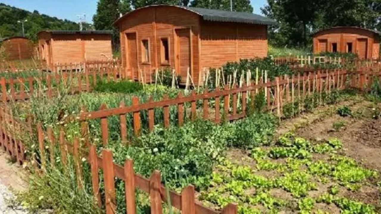 Hobi bahçeleri SON DAKİKA! Hobi bahçesi yıkım kararı yasalaştı mı? Hobi bahçeleri yıkılacak mı?