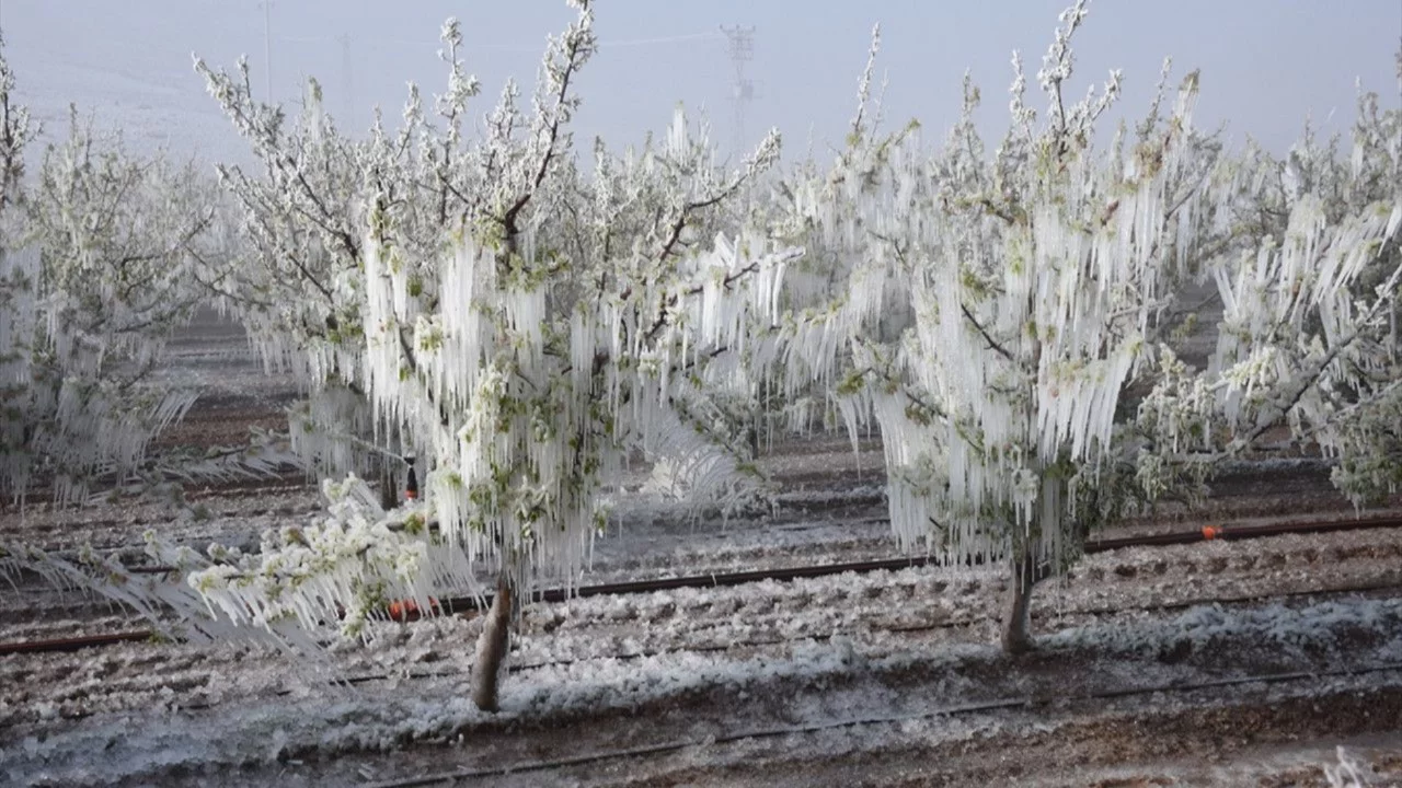 Bursa Valiliği'nden son dakika uyarısı! 