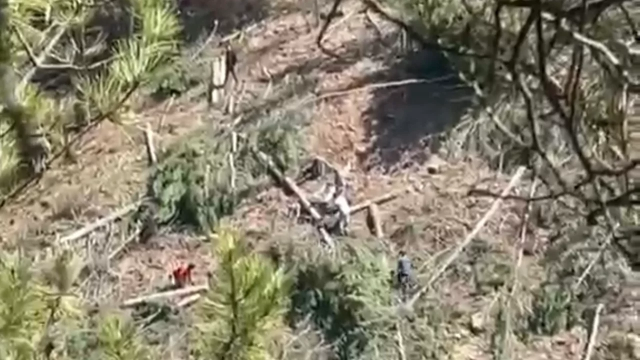 Maden sahası krizi sürüyor! Ağaçlar kesildi...