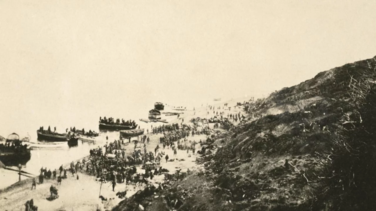 Avustralyalı gazeteci: "İtilaf kuvvetlerinin talihsizli...