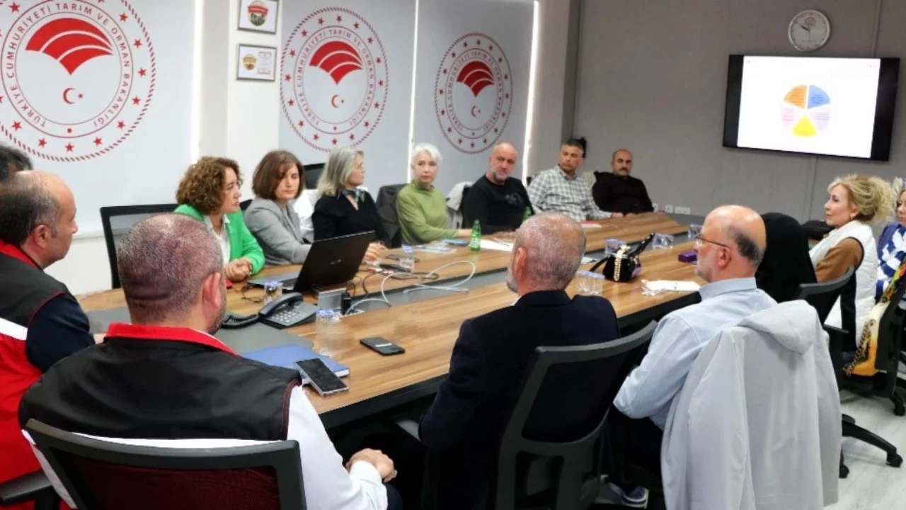 Yalova'da yaban mersini üreticilerine eğitim