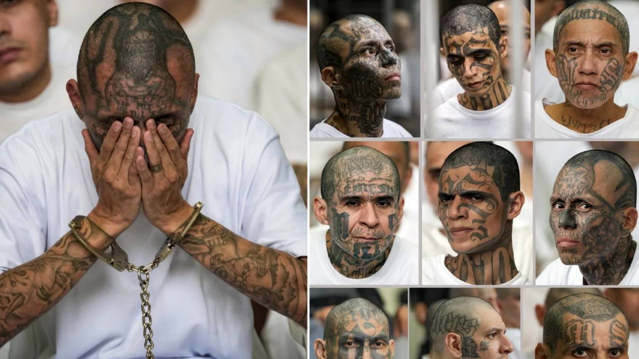 Devlet başkanı yargılanan sanıkların fotoğraflarını pay...