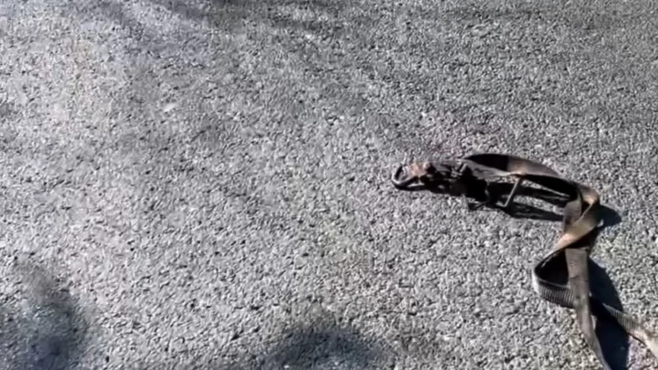 Türkiye'den Bulgaristan'a dönüş yolunda dikkat çeken uyarı: Tuzak mı, dikkatsizlik mi?