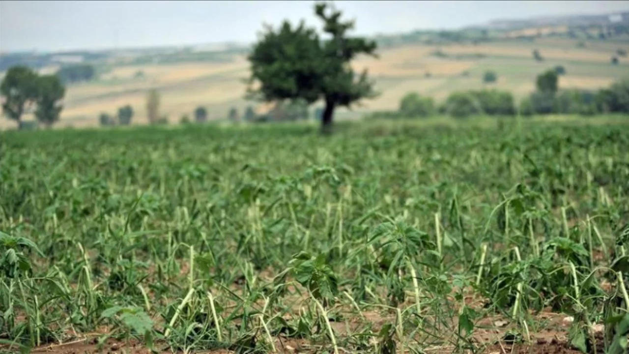 Bursa dahil birkaç ilde yoğunlaştı! Dikkat ölümle sonuçlanıyor...