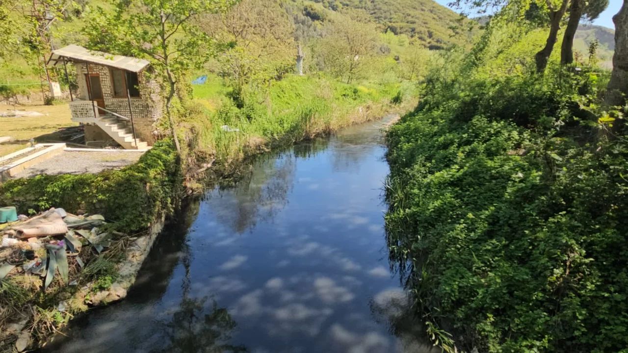 Bursa'da alarm veren görüntüler! "Resmen doğa katliamı"