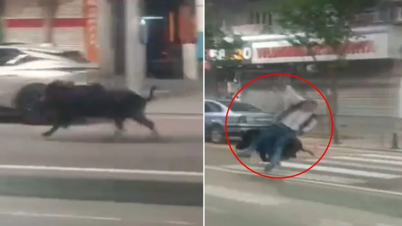 Halk diken üstünde! Kent merkezine inip 3 kişiyi yaraladı