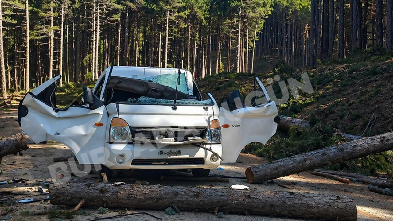 Bursa'da akılalmaz olay! Devrilen ağaç seyir halindeki aracı ezdi: Ölü ve yaralı var
