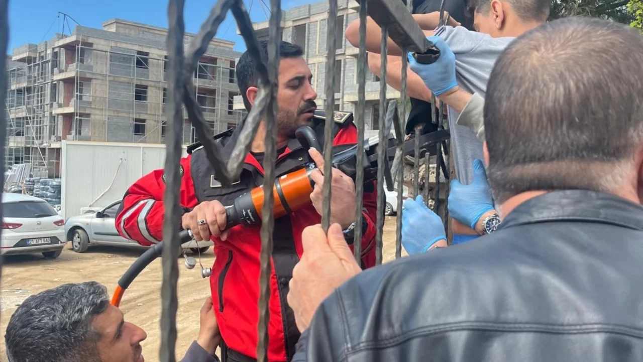 Korku dolu anlar! Küçük çocuğun koluna saplandı