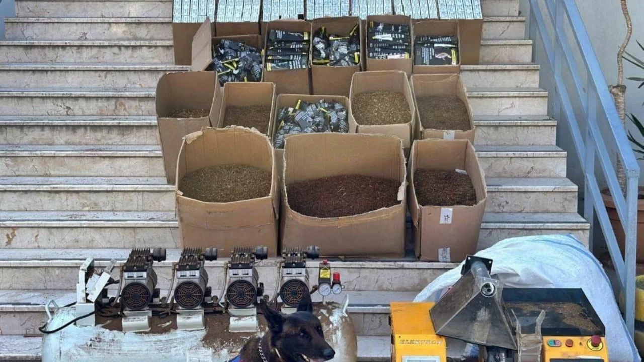 Sakarya'da 'kaçak tütün' operasyonu; 3 gözaltı