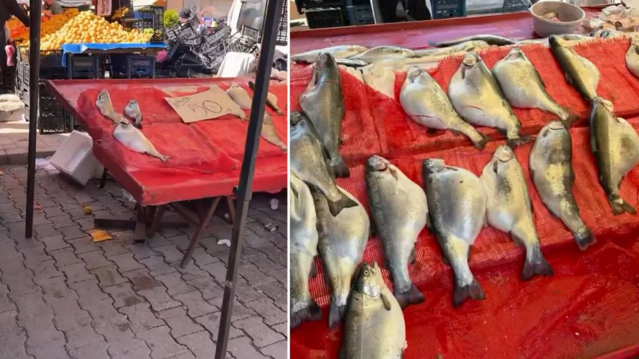Pazarda kilosu 50 TL'ye satılıyor! Uyarı yapıldı: Sakın almayın