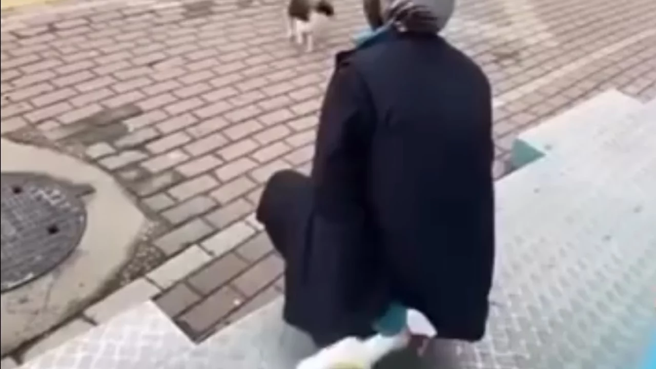 "Gel annem gel" dedi! Yüzüne yağ çözücü sıktı