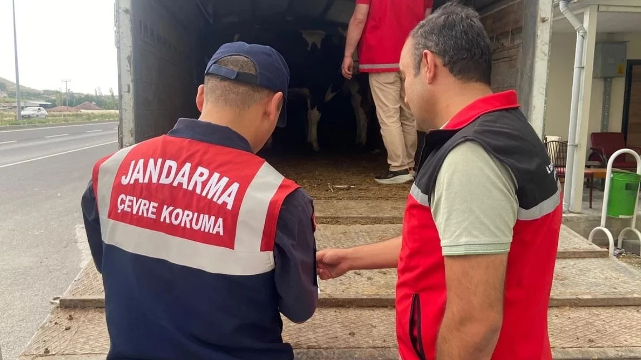 Bursa'da Kurban Bayramı öncesi dolandırıcılık uyarısı!