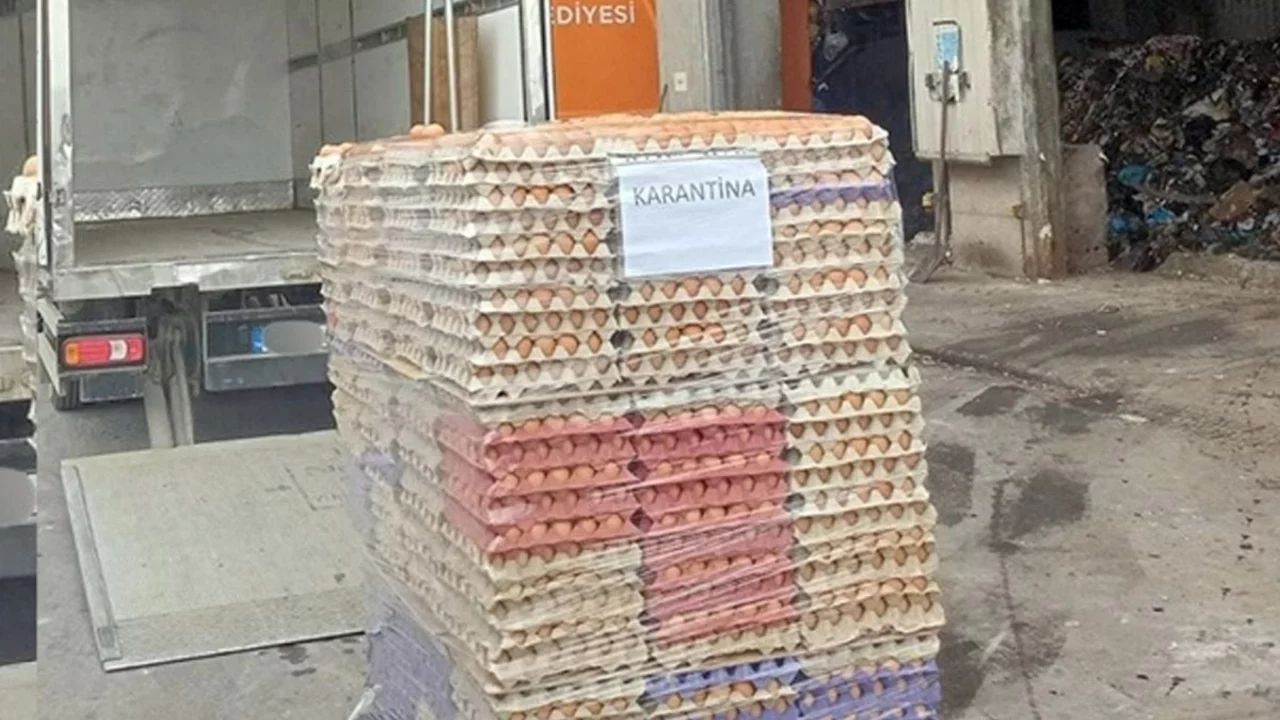 Yumurtada akılalmaz hile! Ekipler hepsini toprağa gömdü