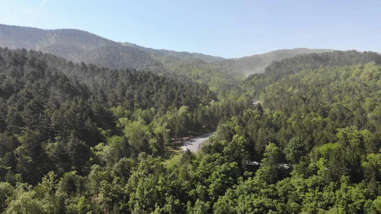 Bursa'da orman yolları için dev çalışma başlıyor! 160 kilometrelik hat yenilenecek