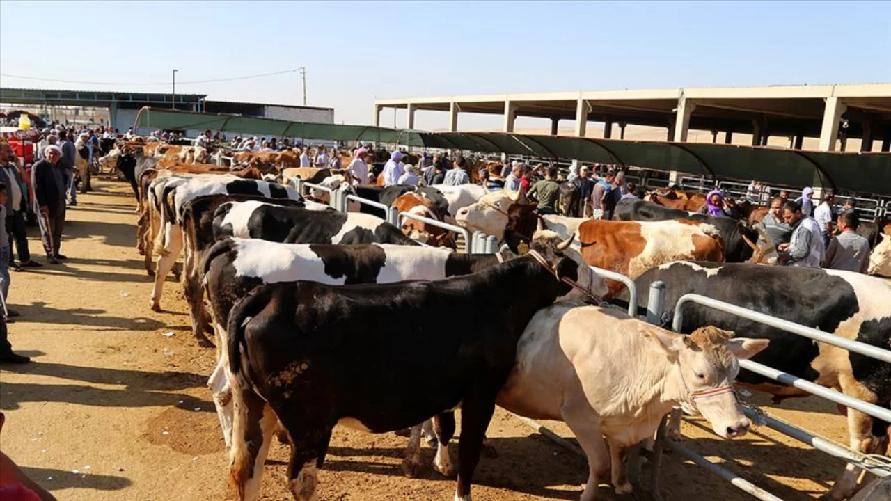 Bursa'nın bir ilçesinde kurban kesim yerleri belirlendi!