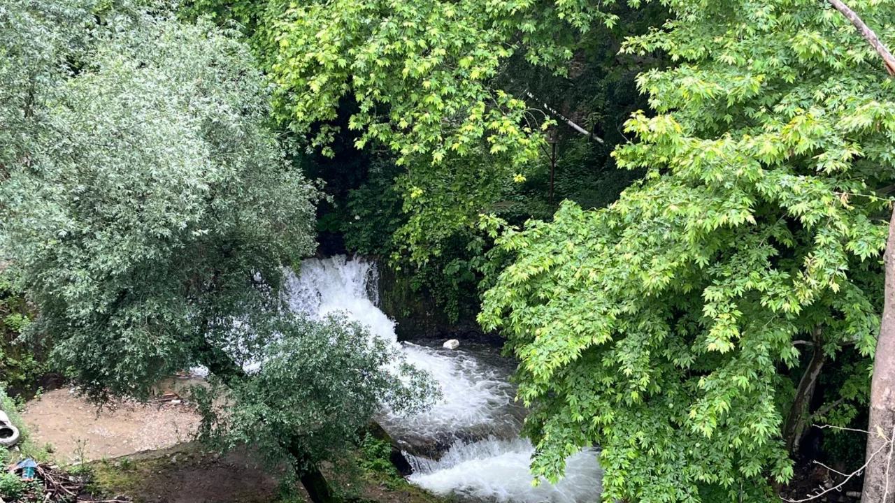 Bursa'da dikkat çeken görüntü!