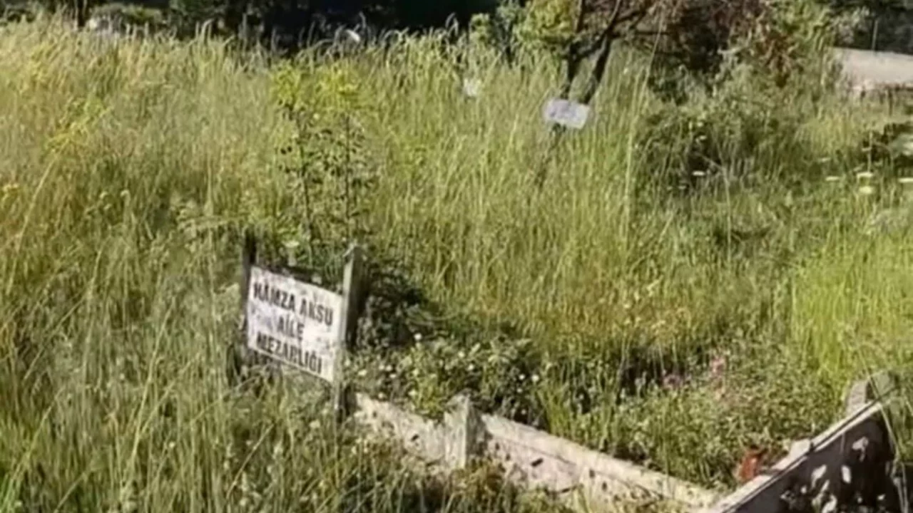 Otlar mezarlığı kapladı! Bursa'da vatandaşlar kabirleri bulmakta zorlandı...