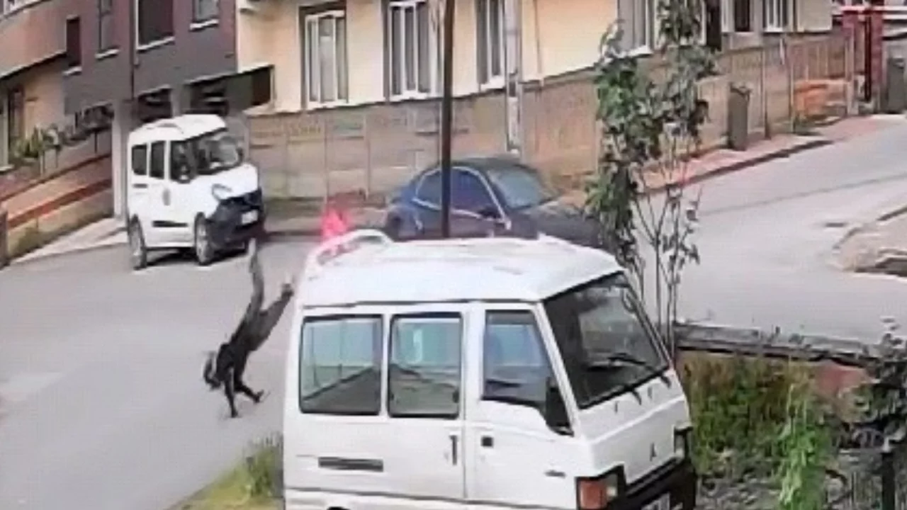 Bursa'da feci çarpışma! Kaza anı kamerada...