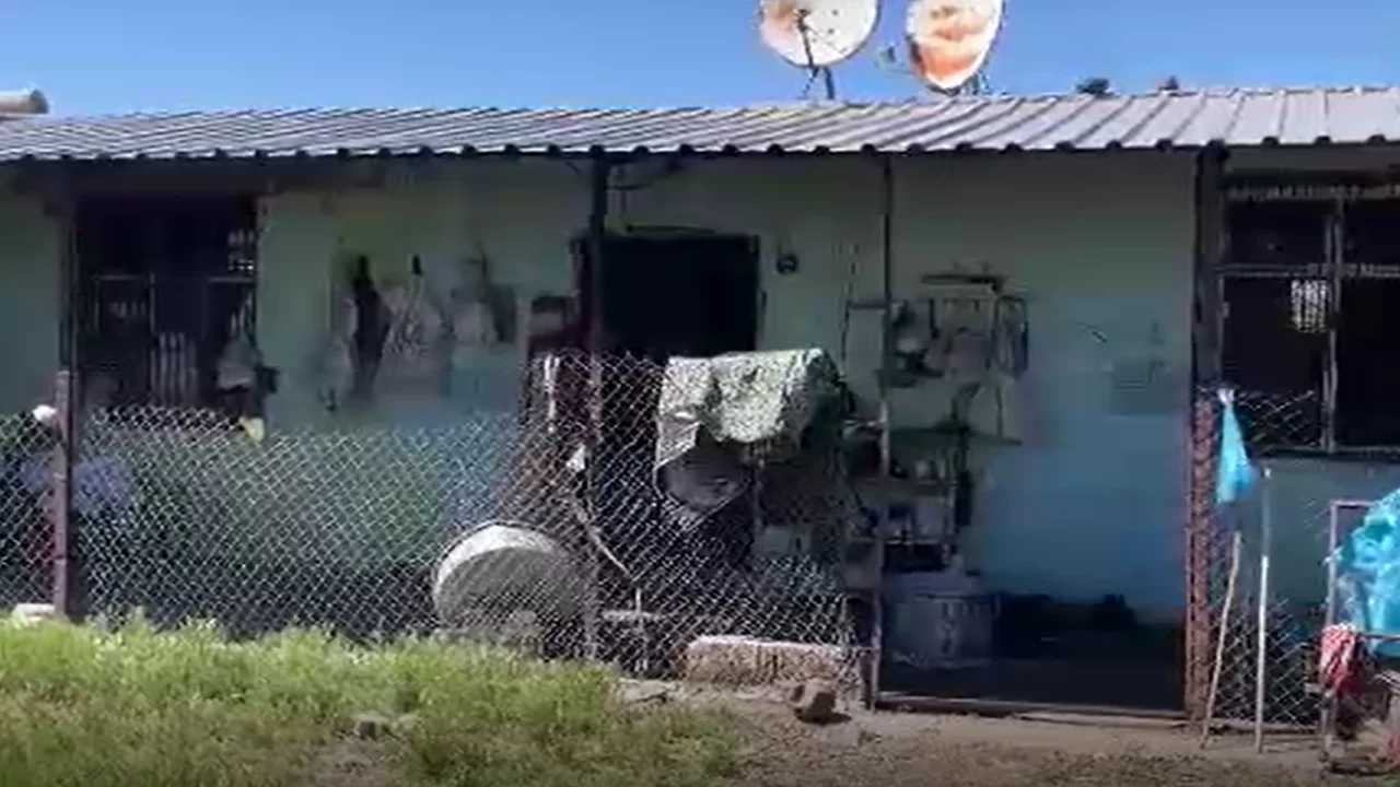Bahçesinde gördüğü yılanı vurmak istedi, ortalık savaş alanında döndü! 5 yaralı var...