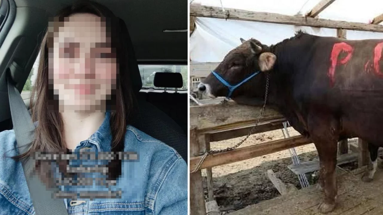 370 bin TL'lik kurbanı 210 bin TL'ye aldı, sorduğu soru olay oldu!