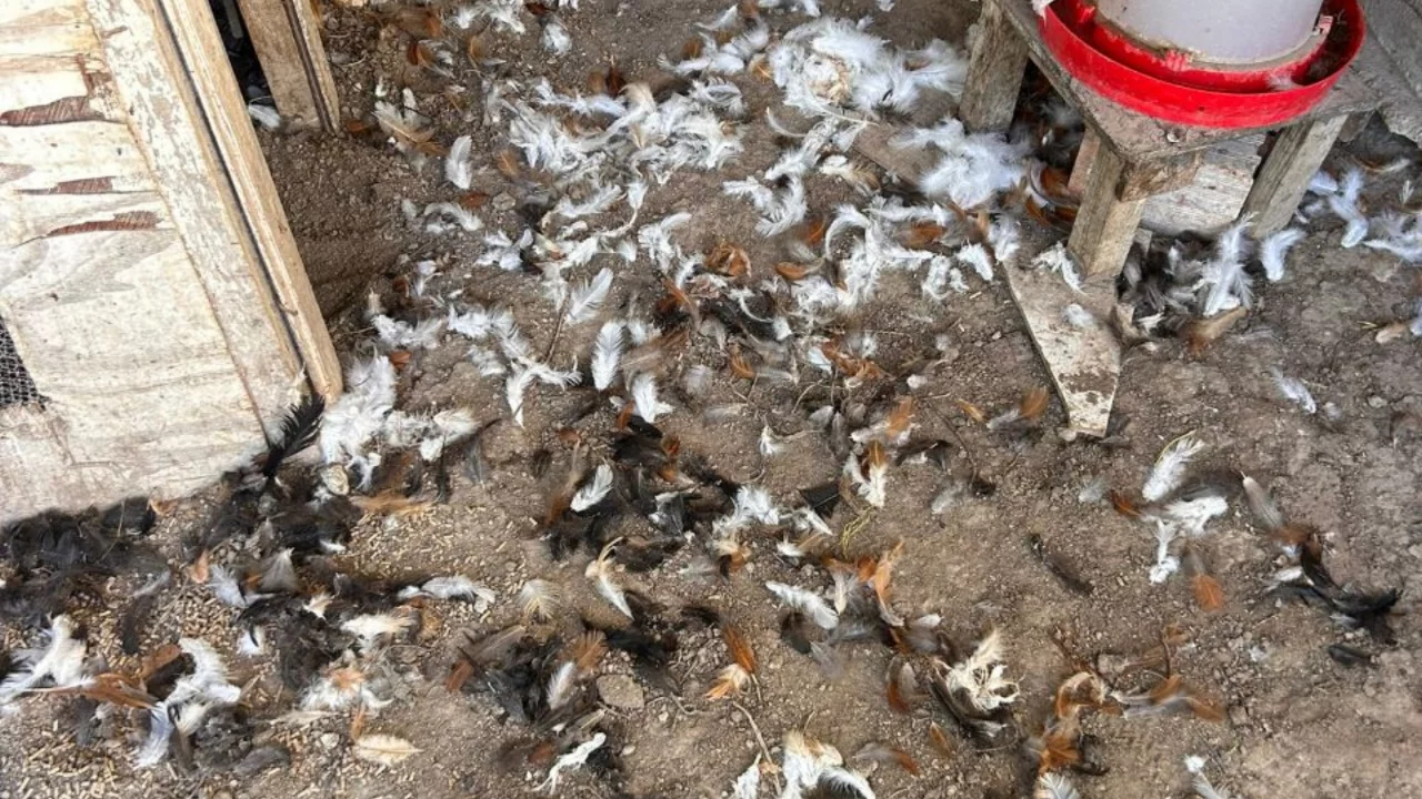 Bursa'da sabah ortaya çıkan manzara şoke etti!