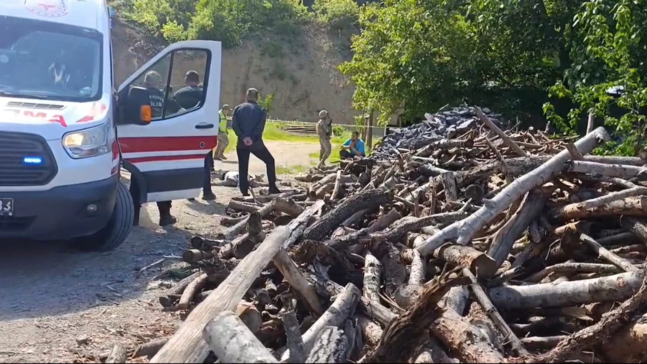 Eşini odunla döverek öldürdü!