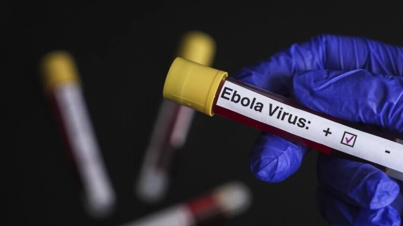 Nijerya'da Ebola alarmı! Tablo kötüleşiyor...