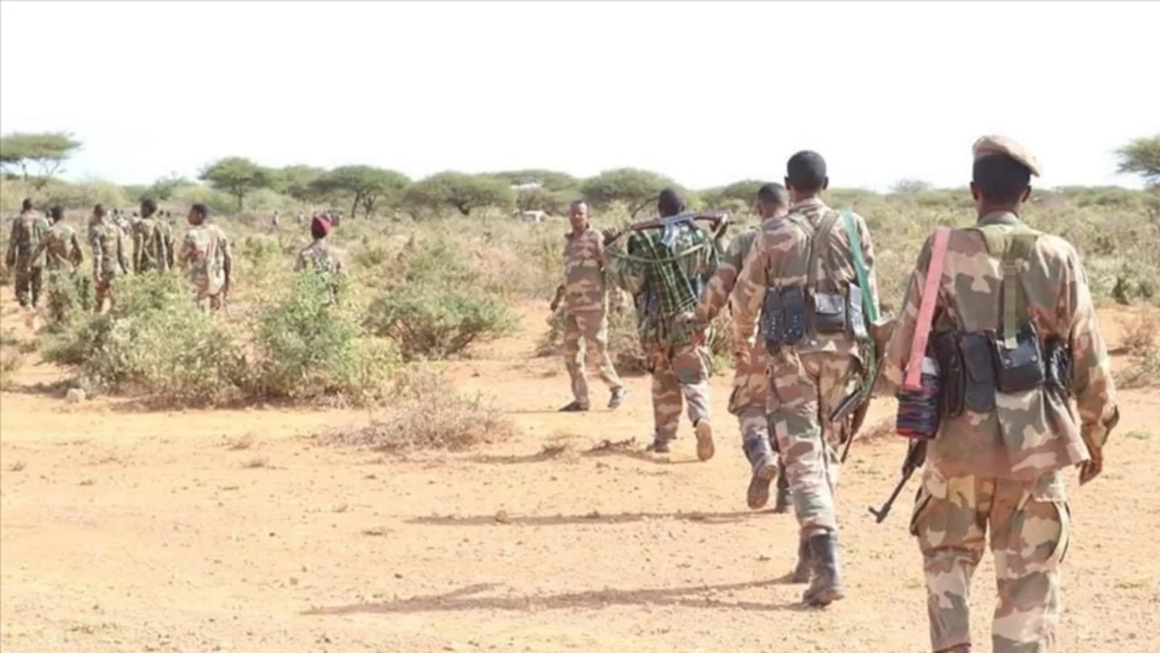 Somali'de Eş-Şebab'a yönelik operasyonda 29 militan öldürüldü 