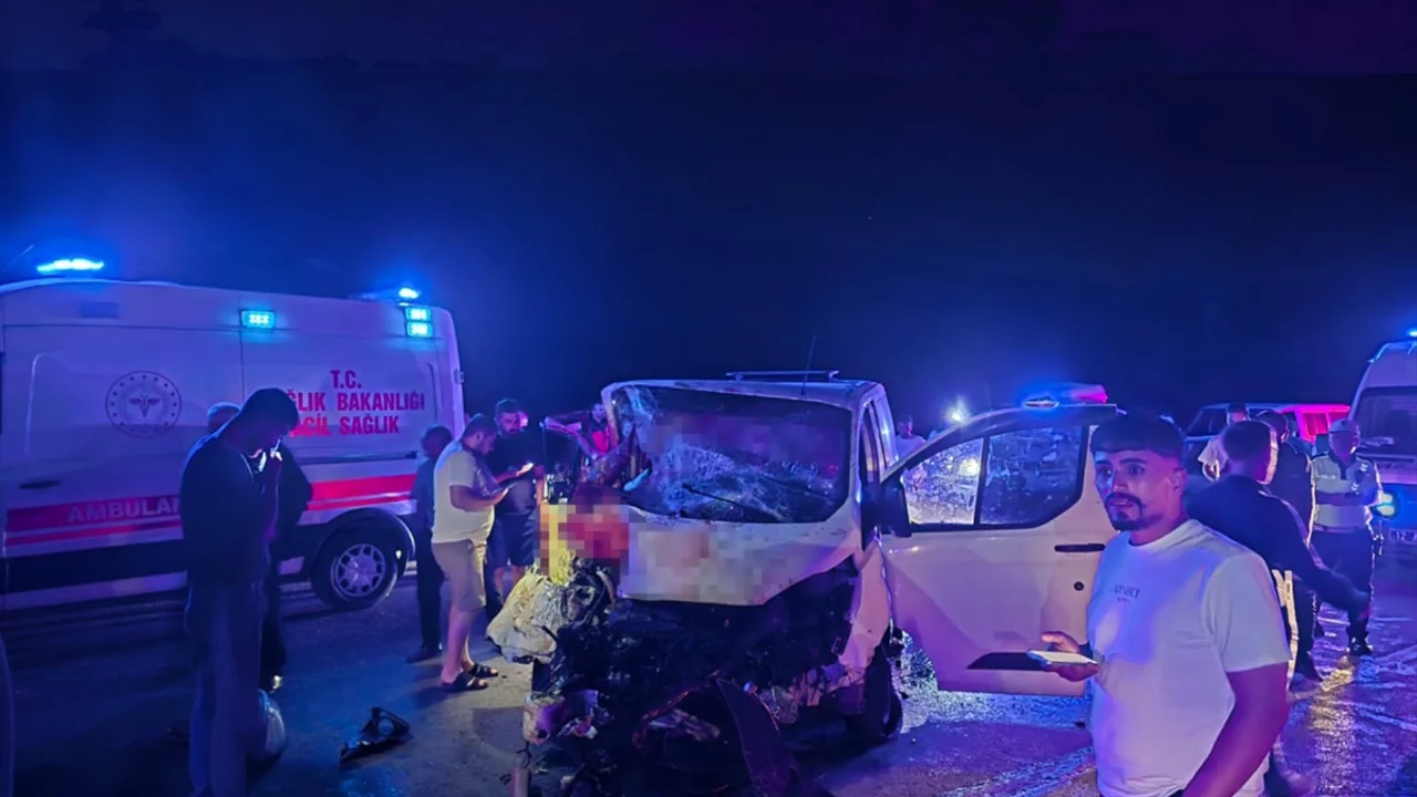 Bingöl'de yola fırlayan at can aldı