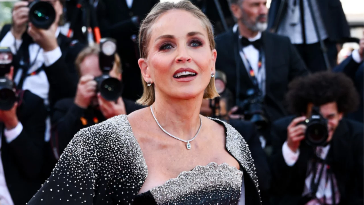 Sharon Stone'dan yıllar sonra gelen itiraf! Evliliğini bitiren ger&ccedil;ek ilk kez ortaya &ccedil;ıktı