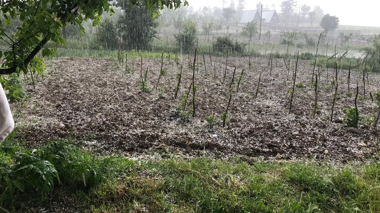 Bursa'da &ccedil;ift&ccedil;inin kabusu ger&ccedil;ek oldu! G&uuml;n i&ccedil;inde birden vurdu