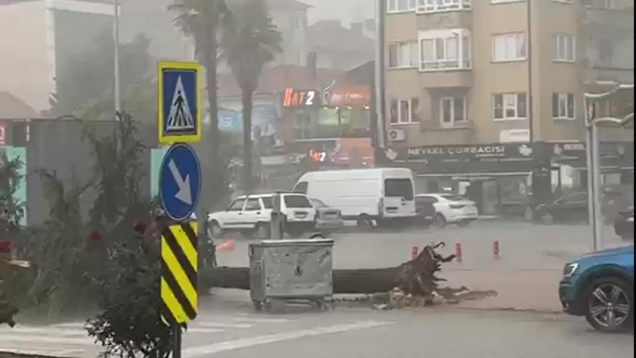 Bursa'da hava birden değişti! Dolu ve fırtına ağa&ccedil;ları yerinden s&ouml;kt&uuml;...