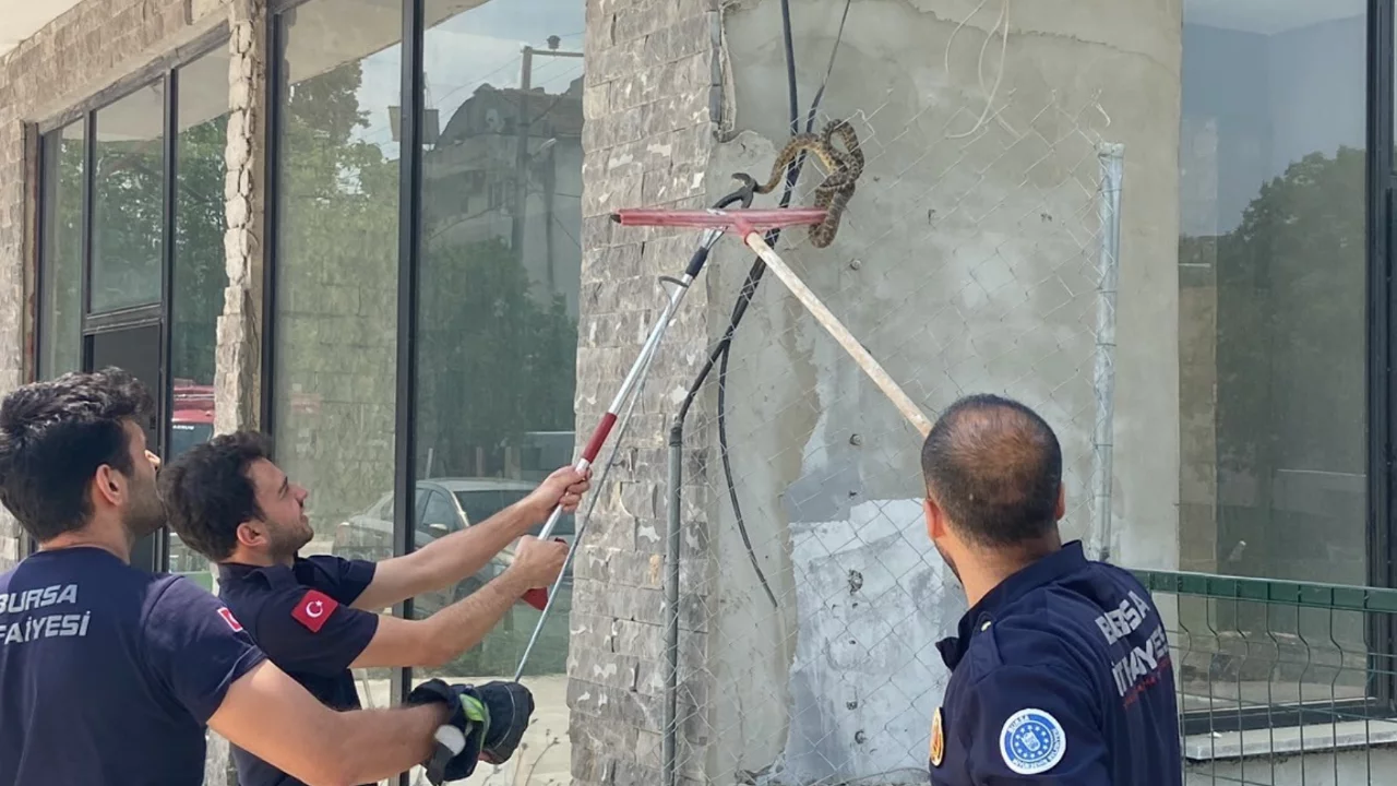 Bursa'da iş yerinde korku dolu anlar: Çalışanlar gözlerine inanamadı