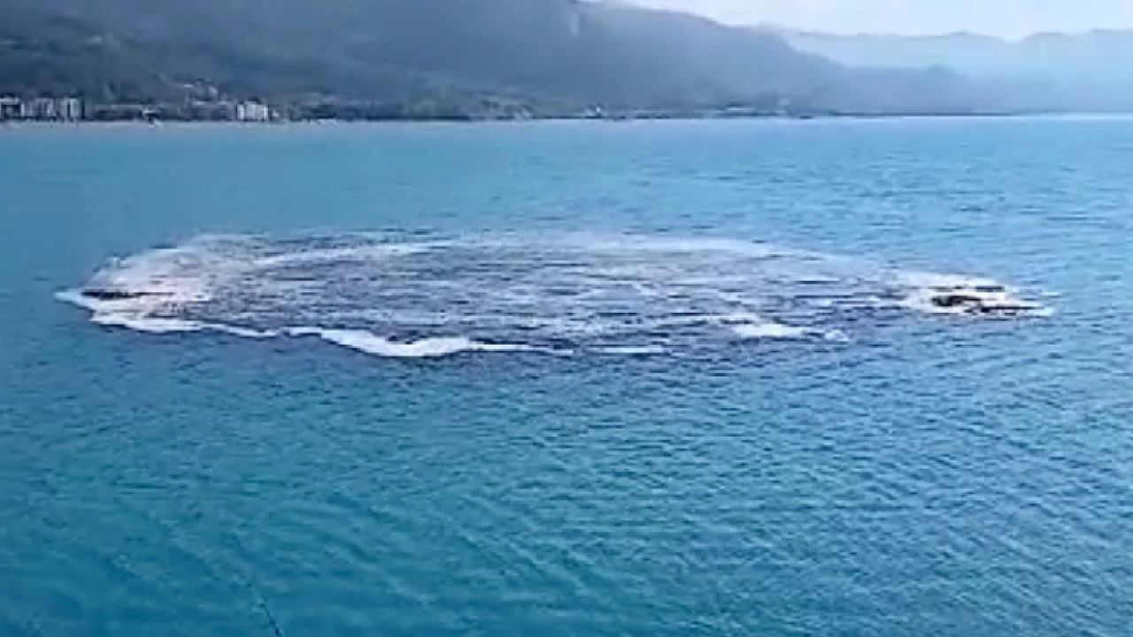 Denizin ortasında gizemli dakikalar! Kimse anlam veremedi...