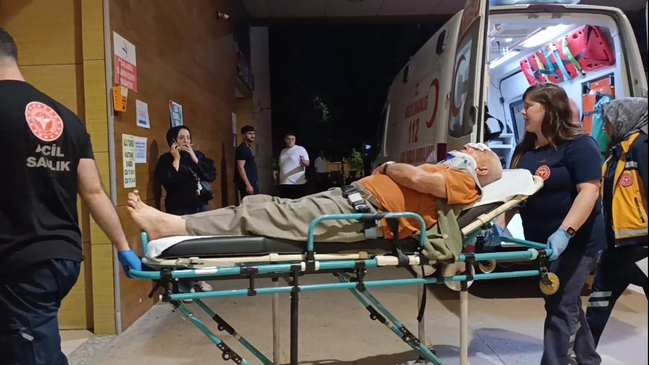 Bursa'da erik toplarken ağa&ccedil;tan d&uuml;şt&uuml;! 70 yaşındaki adam hastaneye kaldırıldı